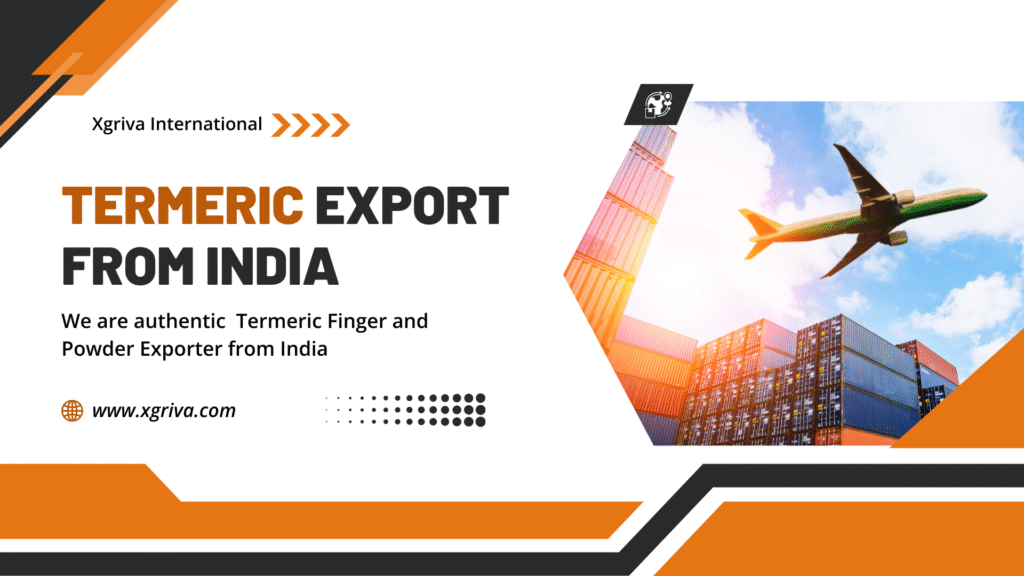 Top 10 Turmeric Exporters in India blog post